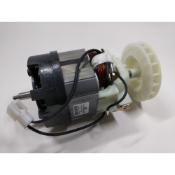 Двигатель в сборе