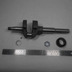 Коленчатый вал